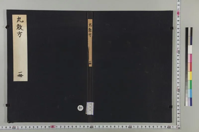 丸散方_P2.webp