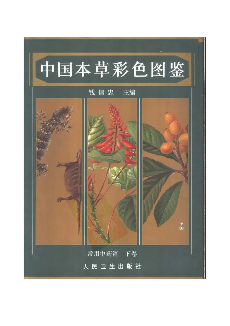 中国本草彩色图鉴（常用中药篇）（下卷）（钱信忠）_P1.webp
