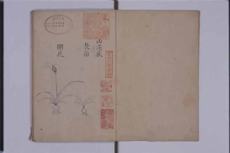 太乙紫金丹方_P2.webp