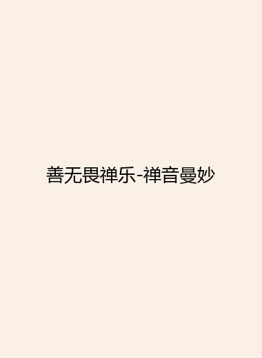 善无畏禅乐-禅音曼妙.webp