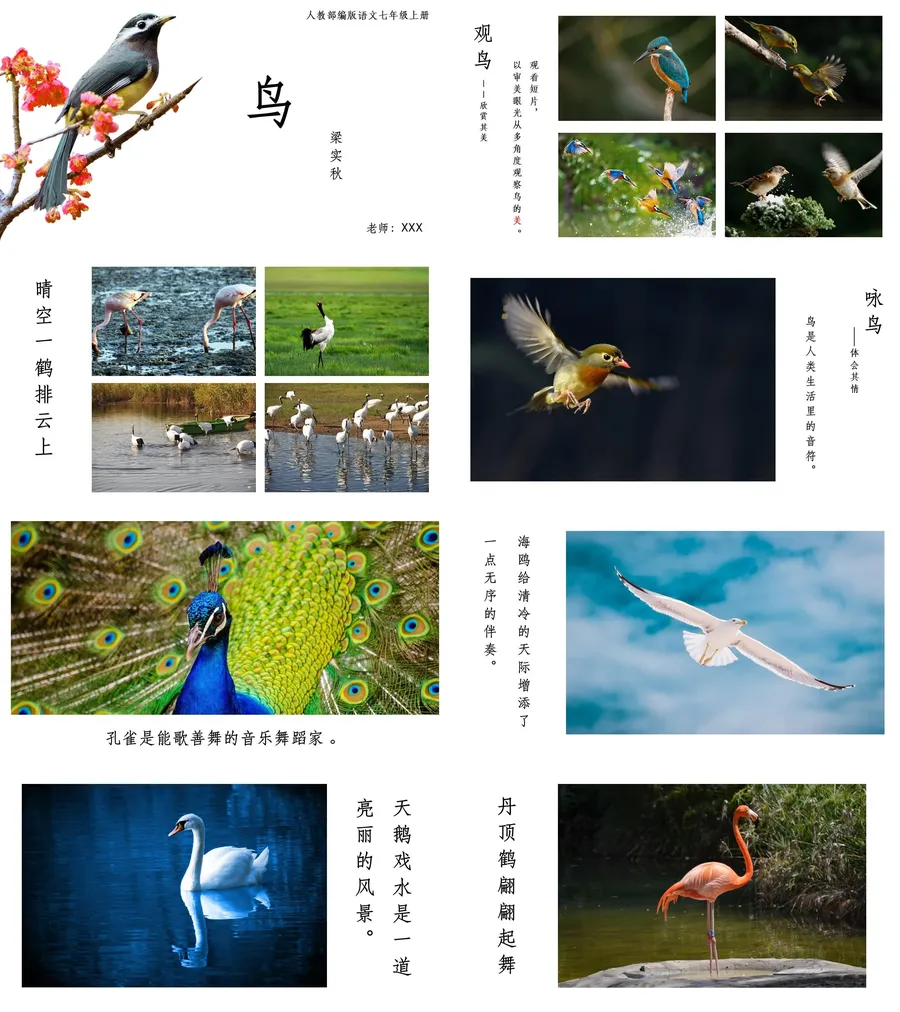 教育说课2-216.webp
