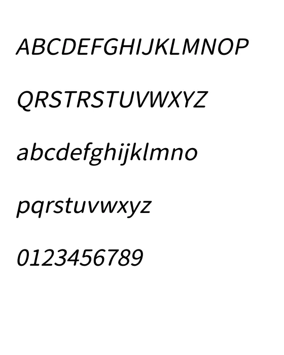VerdanaItalic.webp