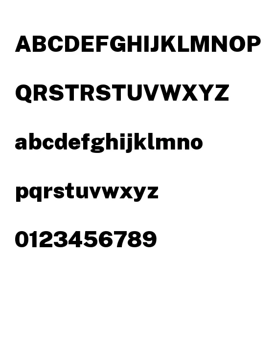 PublicSans-Black.webp