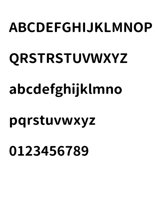 VerdanaBold.webp