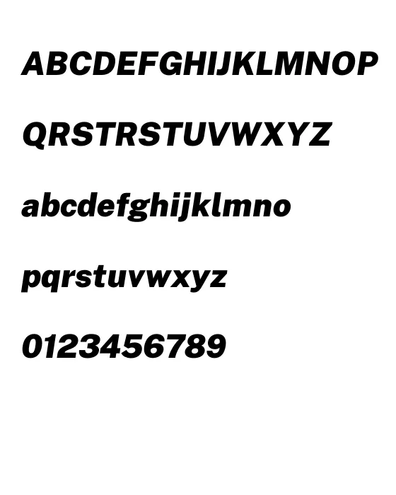 PublicSans-BlackItalic.webp