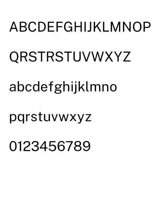PublicSans-Regular.webp