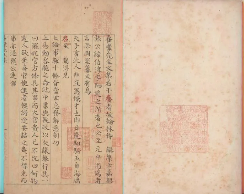 GJ2300166.養蒙先生文集十卷_P1.webp