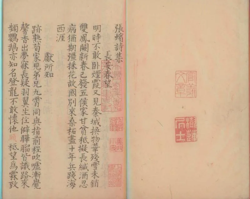 GJ2300440.張蠙詩集一卷_P1.webp