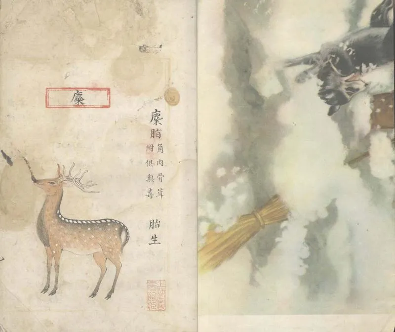 GJ2305280.本草品彙精要四十二卷_P1.webp