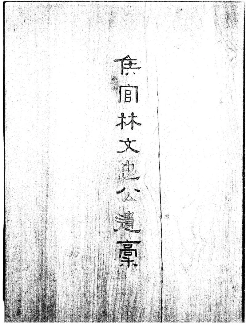 GJ2312452.侯官林文忠公遺稿不分卷_P1.webp