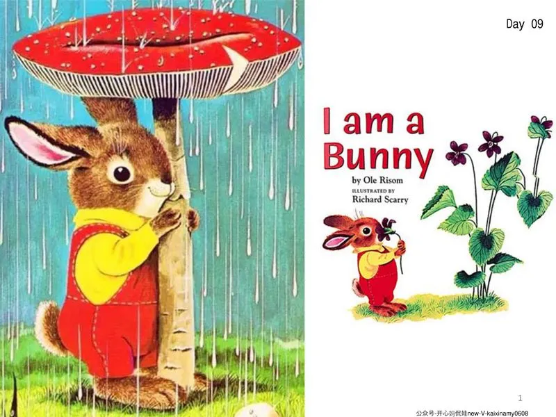 day09：I am a Bunny 我是一只小兔子.webp