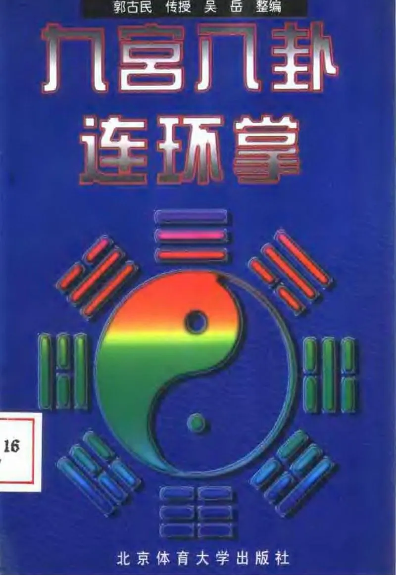 《九宫八卦连环掌》.webp