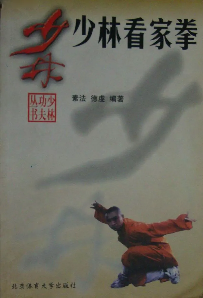 《少林看家拳》.webp