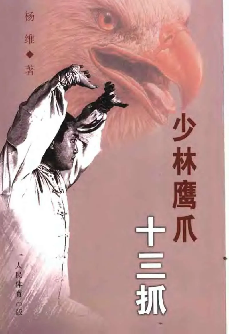 《少林鹰爪十三抓》.webp