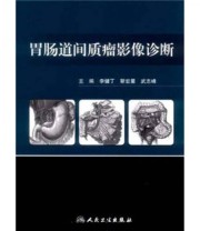 《胃肠道间质瘤影像诊断》 李健丁  著 ISBN 9787117114141