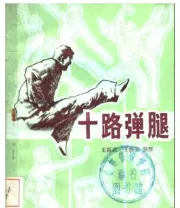 《十路弹腿》.pdf