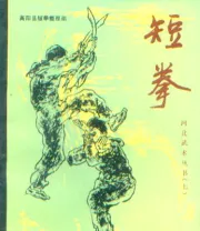 《短拳》.pdf