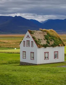 03709_icelandicsodhouse