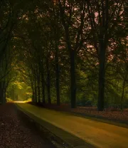 4K高清风景壁纸 (522)