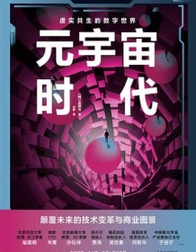 《元宇宙时代：颠覆未来的技术变革与商业图景》 金相允