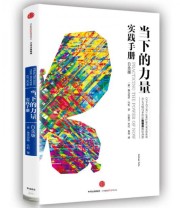 《当下的力量实践手册》  德 埃克哈特 托利  著 曹植  译 ISBN 9787508661759