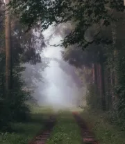 4K高清风景壁纸 (313)