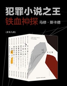 《铁血神探马修·斯卡德（套装共9册）》 劳伦斯・布洛克