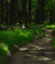 4K高清风景壁纸 (533)