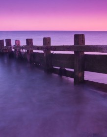 03257_purple