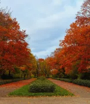 4K高清风景壁纸 (507)