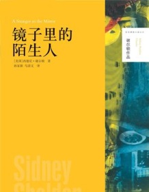 《镜子里的陌生人》 西德尼・谢尔顿