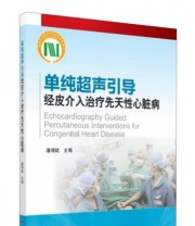 《单纯超声引导经皮介入治疗先天性心脏病》 潘湘斌  编 ISBN 9787565914300