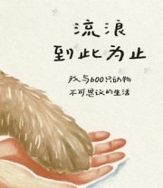 《流浪到此为止》 劳丽·扎列斯基