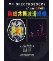 《脑磁共振波谱成像》  巴西 布兰多（BranDao L.A.）  巴西 布兰多（BranDao L.A.）  著 刘筠  译 廉宗澂  校 ISBN 9787543318830