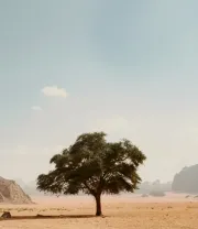 4K高清风景壁纸 (403)