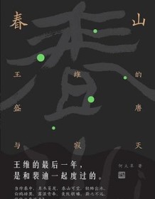 《春山：王维的盛唐与寂灭》 何大草