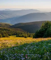 4K高清风景壁纸 (353)