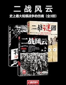 《二战风云：史上最大规模战争的伤痛（全3册）》 杨少丹