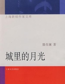 《城里的月光》 滕肖澜