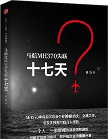 《马航MH370失联十七天》 陈功