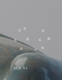 《行走在无形无垠的宇宙》 向京 