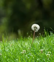 4K高清风景壁纸 (114)