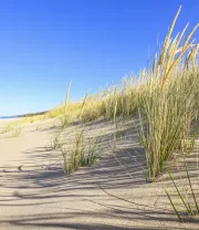 4K高清风景壁纸 (452)