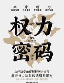 《权力密码》 王伟