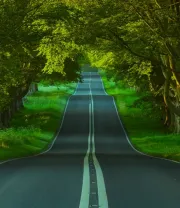 4K高清风景壁纸 (509)