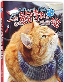 《一只名叫鲍勃的流浪猫》 詹姆斯・鲍文