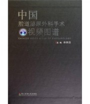 《中国腔道泌尿外科手术视频图谱》 孙颖浩  著 ISBN 9787548100577