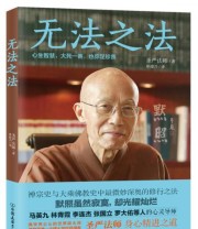 《无法之法》 圣严法师  著 单德兴  译 ISBN 9787505738522