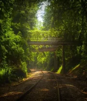 4K高清风景壁纸 (560)