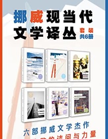 《挪威现当代文学译丛（套装共6册）》 奥斯娜・塞厄斯塔等